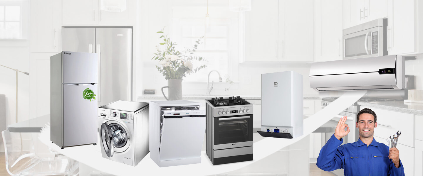 Havran Electrolux Servisi